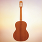 Kremona S65S Sofia Spruce / Sappeli Classical Guitar with Premium Soft Case