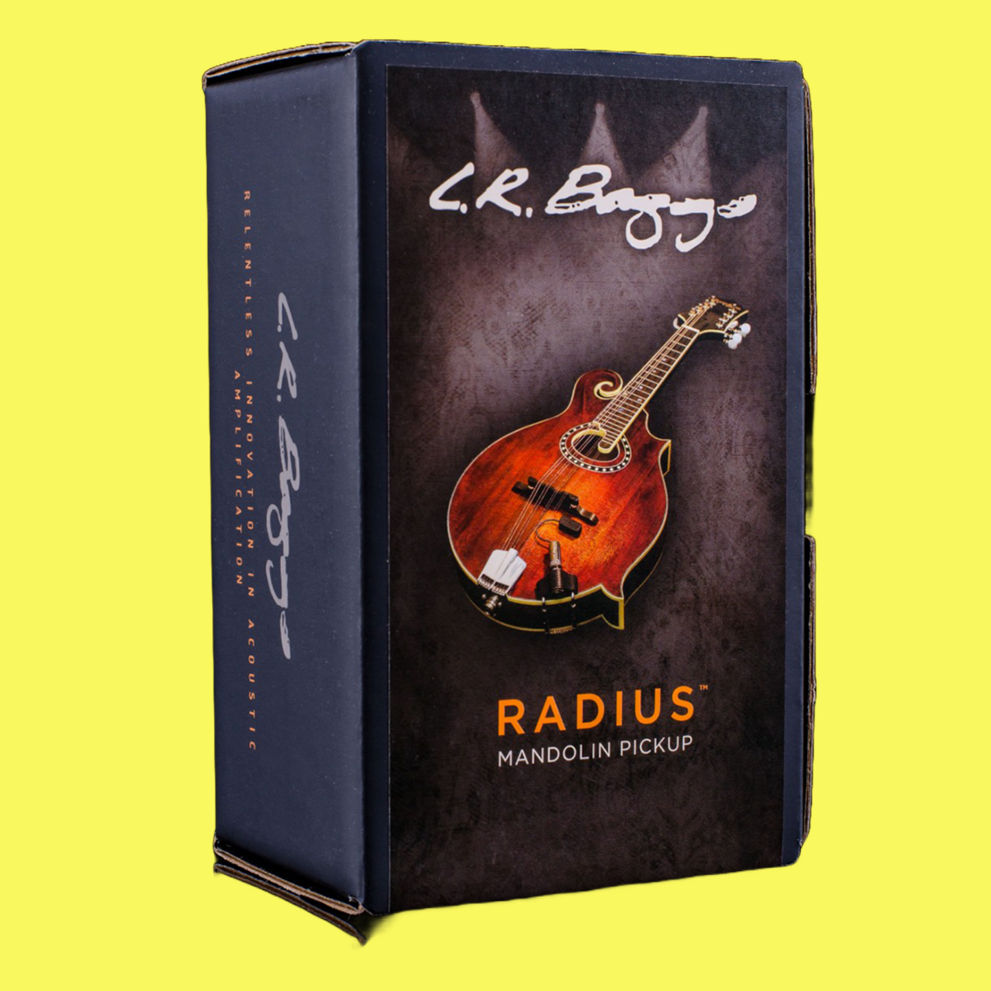 LR Baggs RADM Radius Mandolin Pickup with Jack