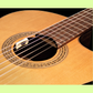 LR Baggs Anthem SL Classical Guitar Pickup System with Element & Microphone