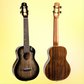 Flight Peter Moss Signature EQ-A Concert Ukulele with Premium Padded Gig Bag