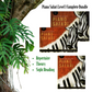 Piano Safari - Level 1 Complete Bundle (Repertoire, Theory and Sight Reading)