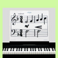 Wilbecks Sharps and Flats Magnets