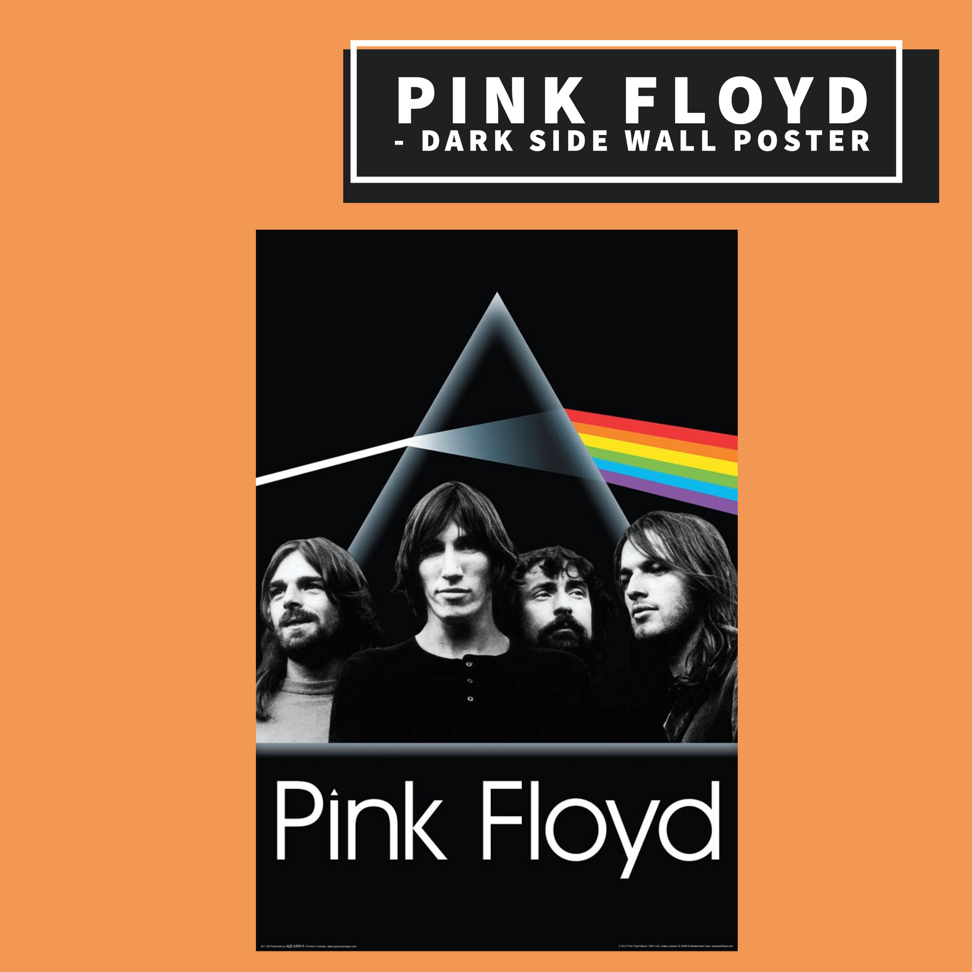 Pink Floyd - Dark Side Group - Poster