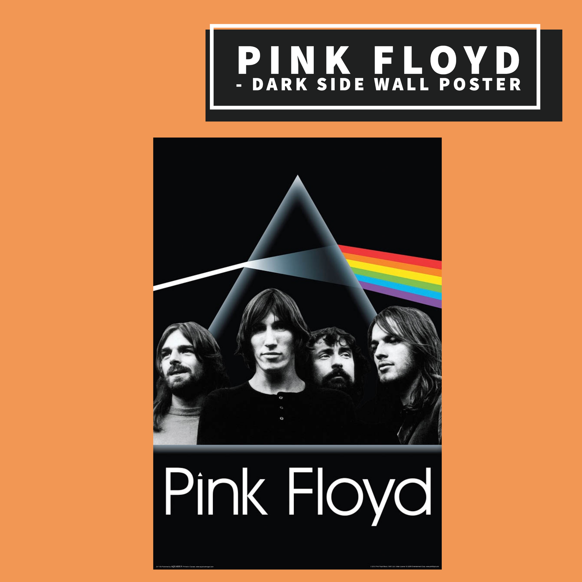 Pink Floyd - Dark Side Group Poster Giftware