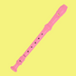 Disney Princess Favorites 3 Books/Recorder Pack