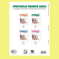 Sportacular Warm-Ups Bk 2