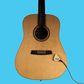 Acoustic Instrument Pickup with Volume Control (KNA AP-2)