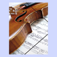 A4 Music File with Elastic Band -  Violin on Manuscript Design
