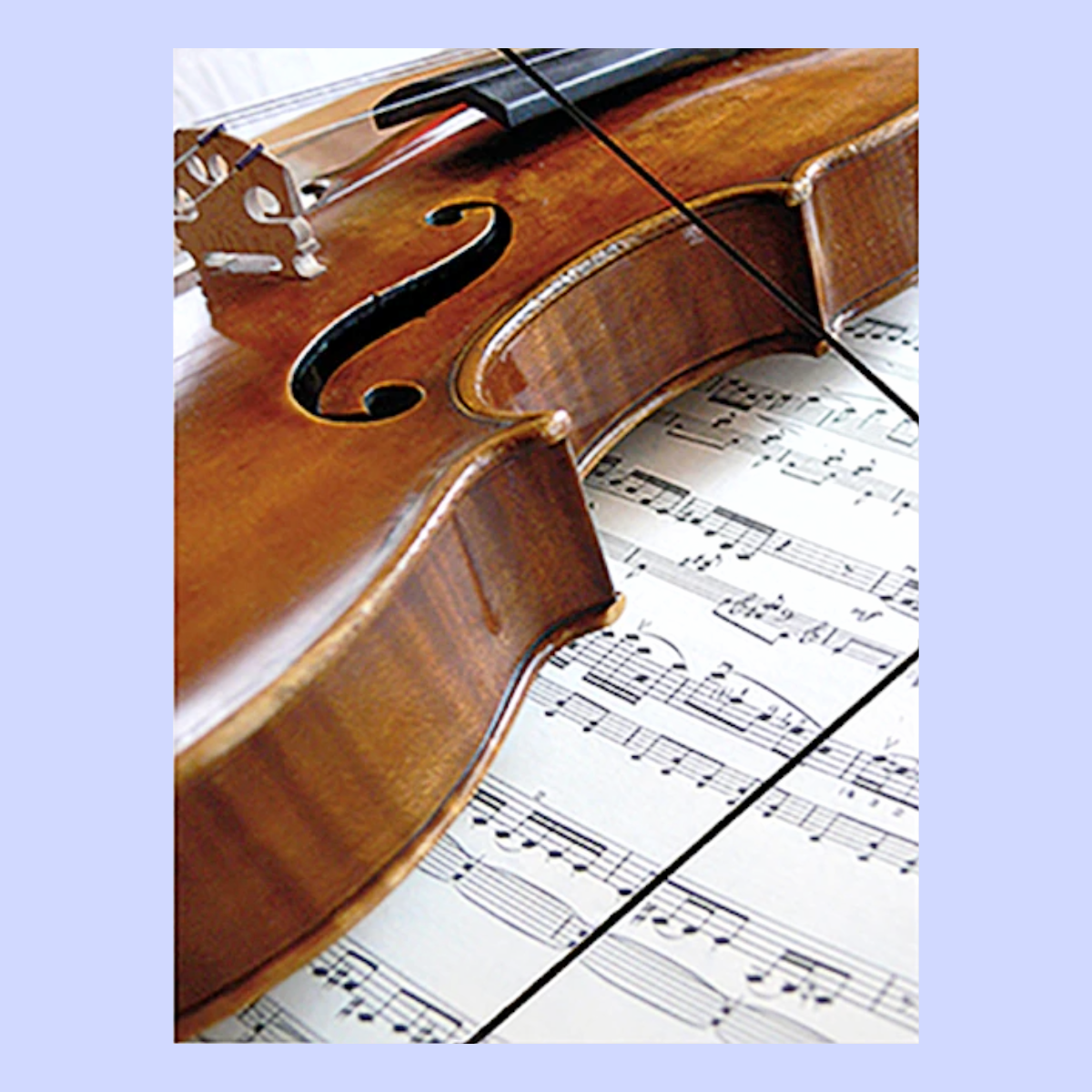 A4 Music File with Elastic Band -  Violin on Manuscript Design