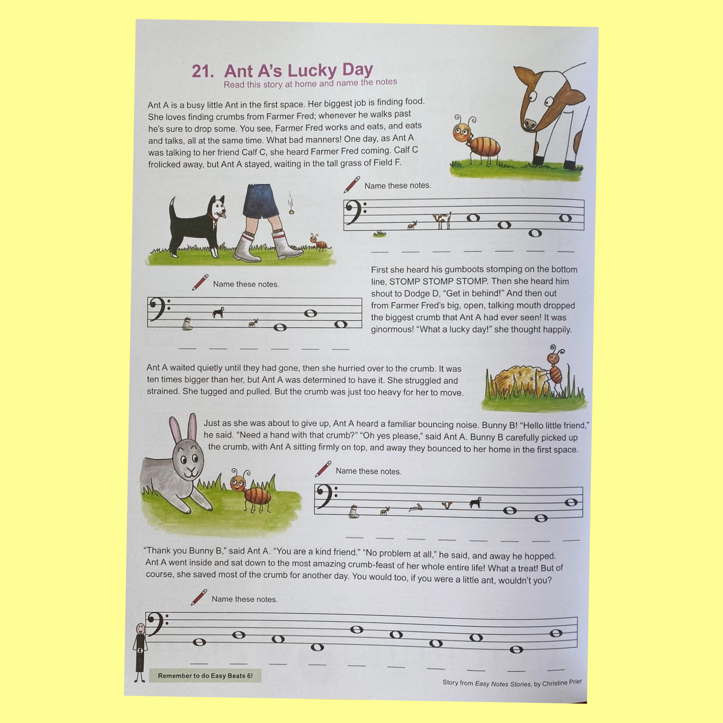 Wilbecks Easy Notes For Piano Beginners Level 1 Book with Flash Cards