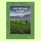 Irish Folk Tunes For Flute, Recorder & Tin Whistle - Volume 1 Book/Audio (71 Songs)
