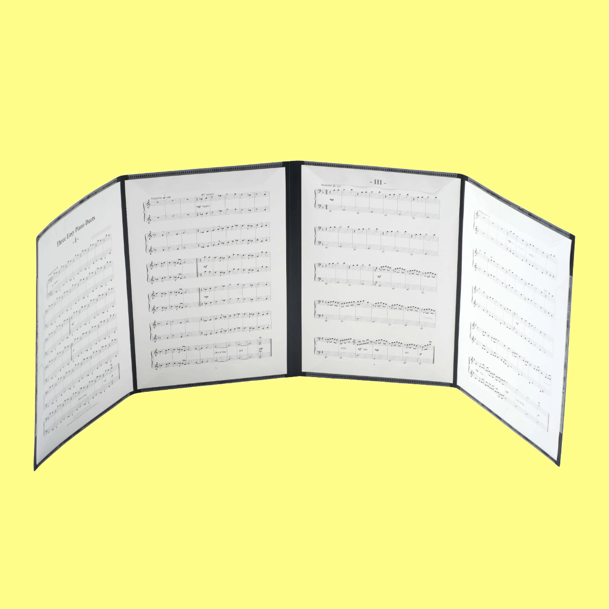 Rondofile Cadenza Concertina Folder (6 x A4 Pages)