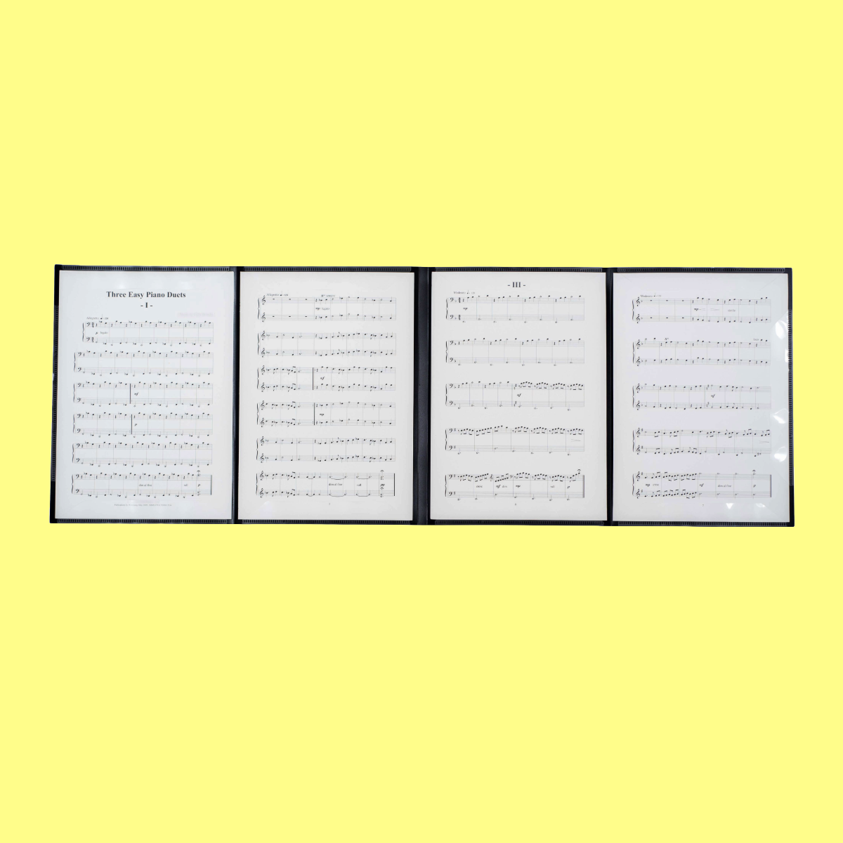 Rondofile Cadenza Concertina Folder (6 x A4 Pages)