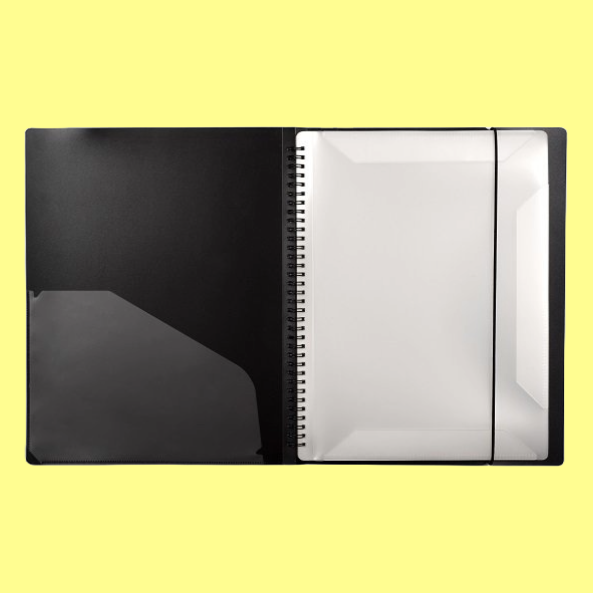 Rondofile 30 Display Book (60 Pages)
