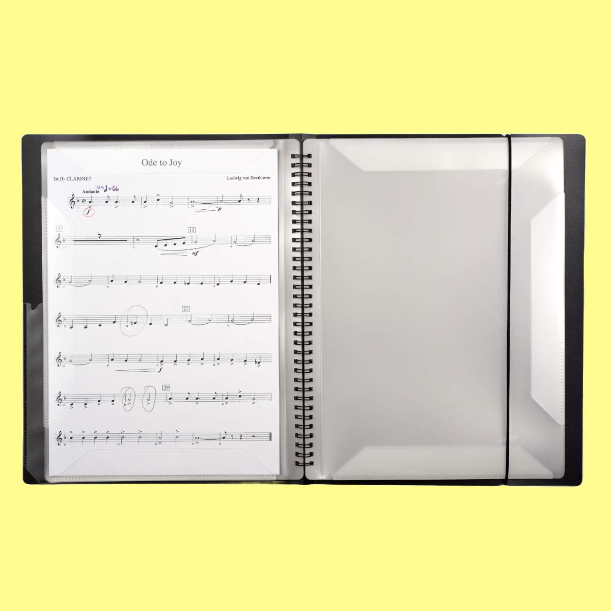 Rondofile 30 Display Book (60 Pages)