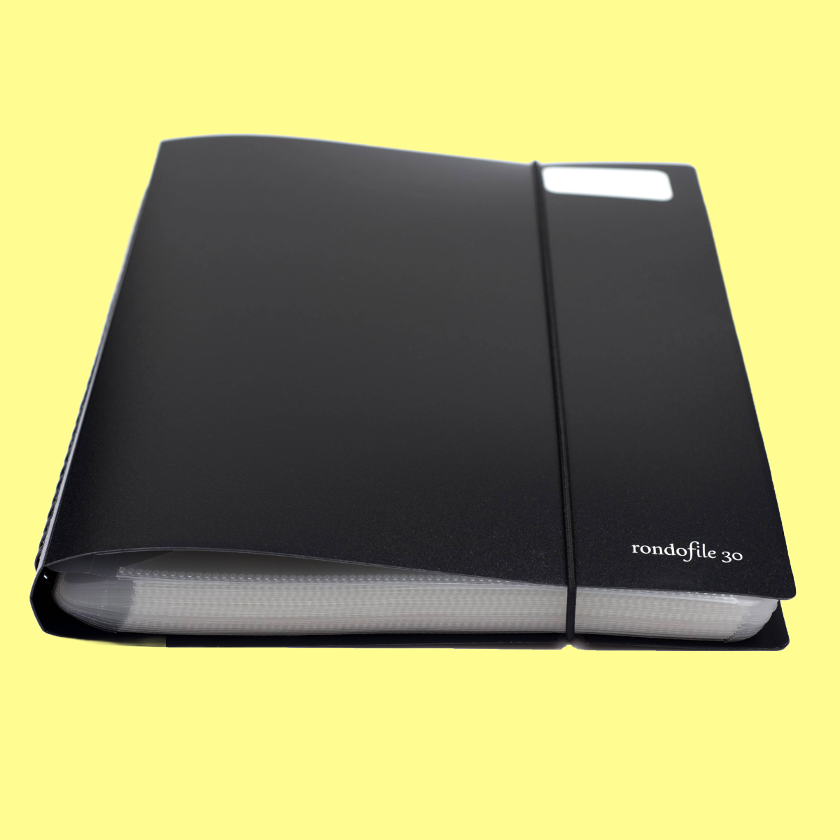 Rondofile 30 Display Book (60 Pages)