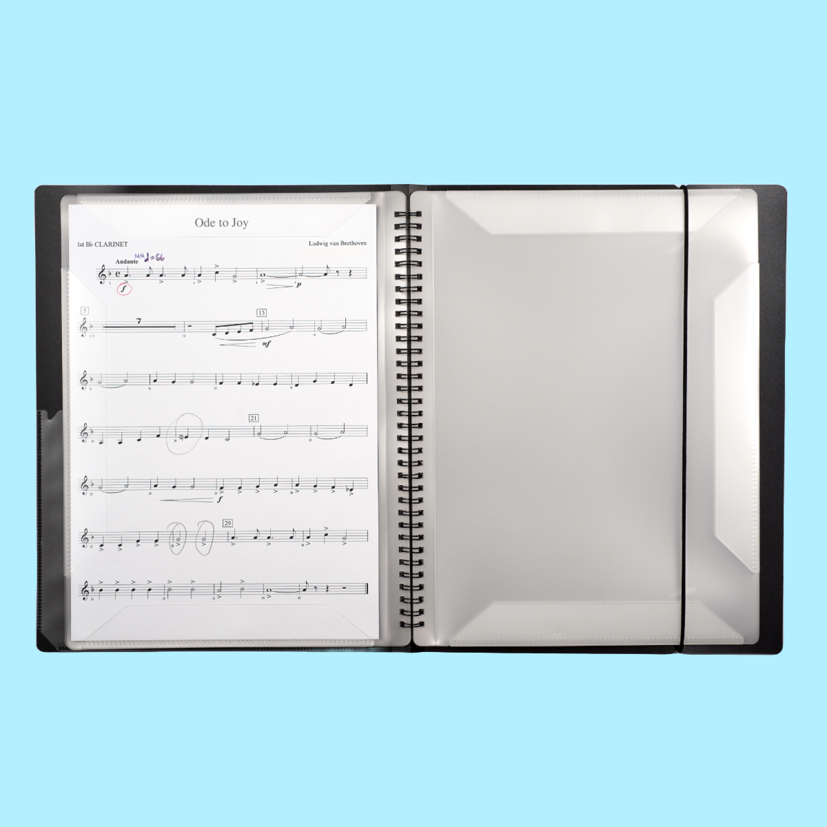 Rondofile 20 Display Book (40 Pages)