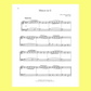 Piano Pieces For Adult Beginners Book