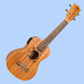 Flight DUC523 Concert Electro Mahogany Ukulele with Padded Gig Bag