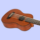Flight Dubs Electro Acoustic Bass Ukulele with Padded Gig Bag