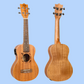 Flight DUC523 Concert Electro Mahogany Ukulele with Padded Gig Bag