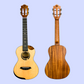 Flight Victoria Concert EQ-A Ukulele With Padded Gig Bag