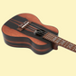 Flight DUC460EQ Amara Electro Acoustic Concert Ukulele