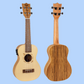 Flight DUC525CEQ Spruce Zebrawood Electro Acoustic Concert Ukulele