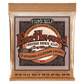 Ernie Ball Earthwood Custom 12-String Light Phosphor Bronze Acoustic Guitar Strings Set- 10-48