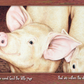 John M. Feierabend - Father Grumble Hardcover Picture Book