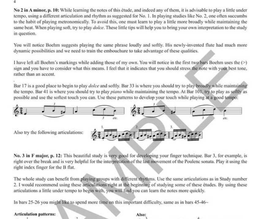 Theobald Boehm - 24 Caprices Etudes For Flute Book