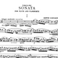 Erwin Schulhoff - Flute Sonata For Flute with Piano Accompaniment Book