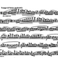 Ernesto Kohler - 35 Exercises for Flute Op 33 Book 2 (No 16-27)