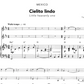 Latin American Fiddler Complete Violin Edition Book/Ola