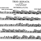 Telemann Trio Sonata in G Minor Flute with Piano Book