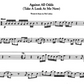 100+ Solos For Trumpet Songbook