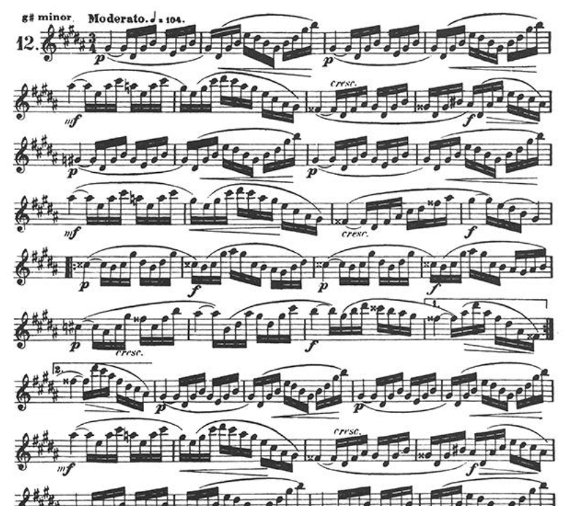 Joachim Andersen - Twenty Four Exercises for the Flute Op 33 Book