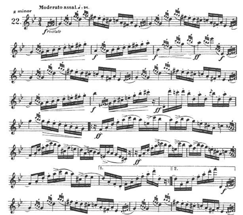 Joachim Andersen - Twenty Four Exercises for the Flute Op 33 Book