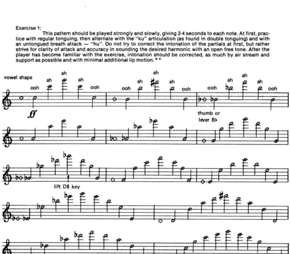 Robert Dick - Tone Development Through Extended Techniques Flute Book