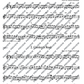 Irish Folk Tunes For Flute, Recorder & Tin Whistle - Volume 1 Book/Audio (71 Songs)