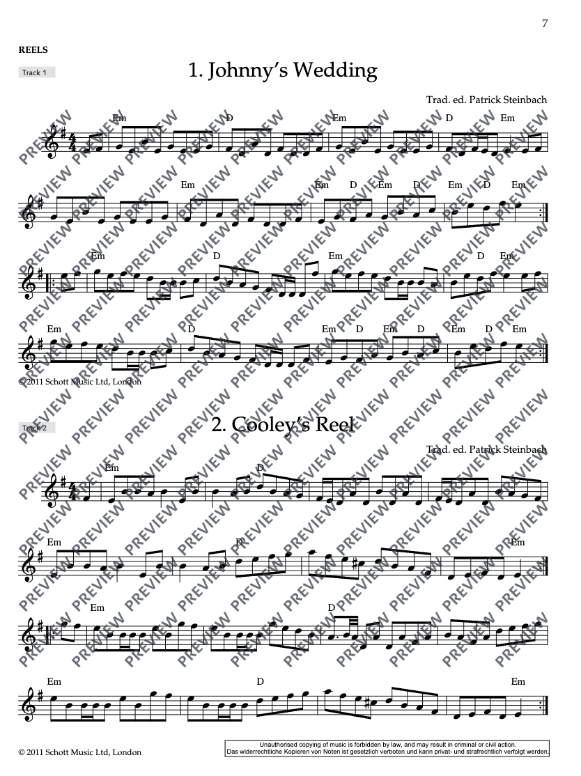 Irish Folk Tunes For Flute, Recorder & Tin Whistle - Volume 1 Book/Audio (71 Songs)
