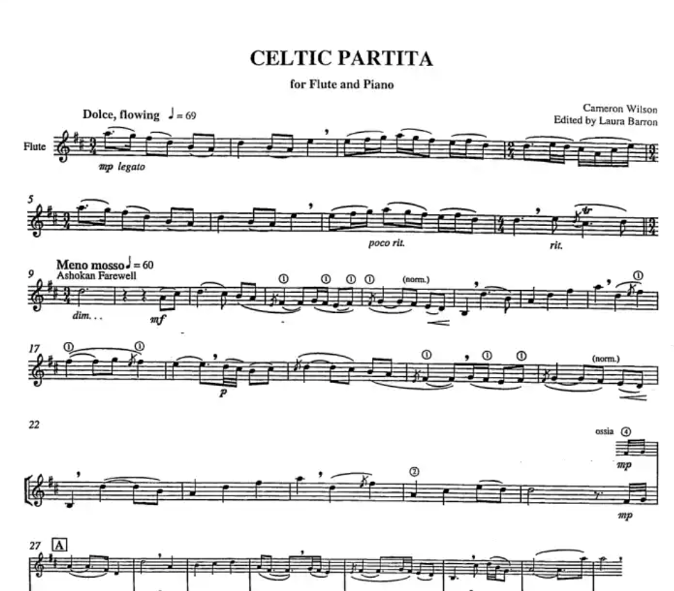 Cameron Wilson - Celtic Partita for Flute with Piano Book