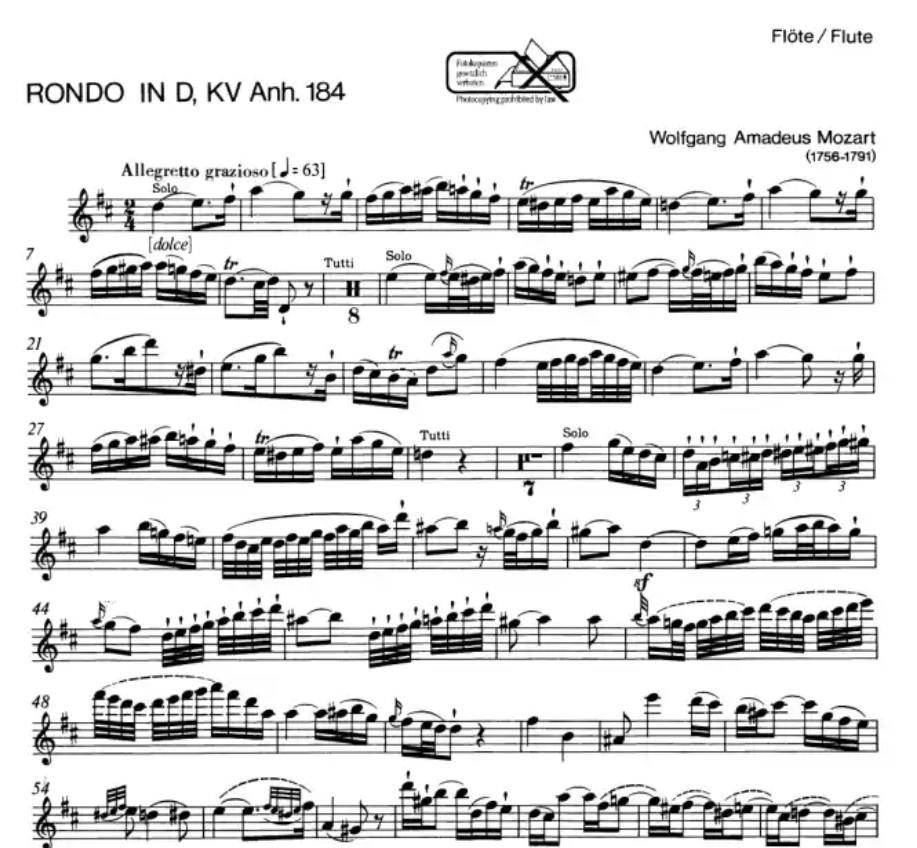 Wolfgang Mozart - Rondo D Major K Anh 184 Flute with Piano Accompaniment Book