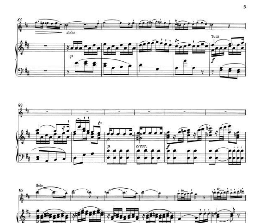 Wolfgang Mozart - Rondo D Major K Anh 184 Flute with Piano Accompaniment Book