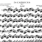 Nicolo Paganini - 24 Caprices Op 1 Flute Book