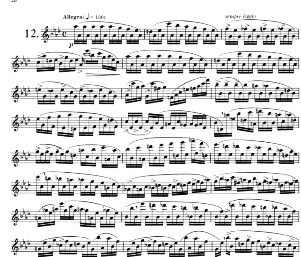 Nicolo Paganini - 24 Caprices Op 1 Flute Book