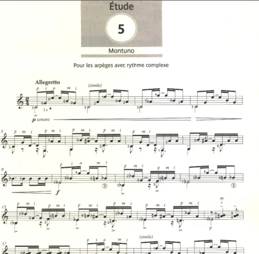 Leo Brower - Etudes Simples For Guitar (Book/Audio)