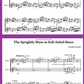 Karen North - Inspiring Flute Duets Book *New