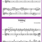 Karen North - Inspiring Flute Duets Book *New