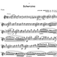 Rubank Concert And Contest Collection - Flute Solo Book (14 Pieces)
